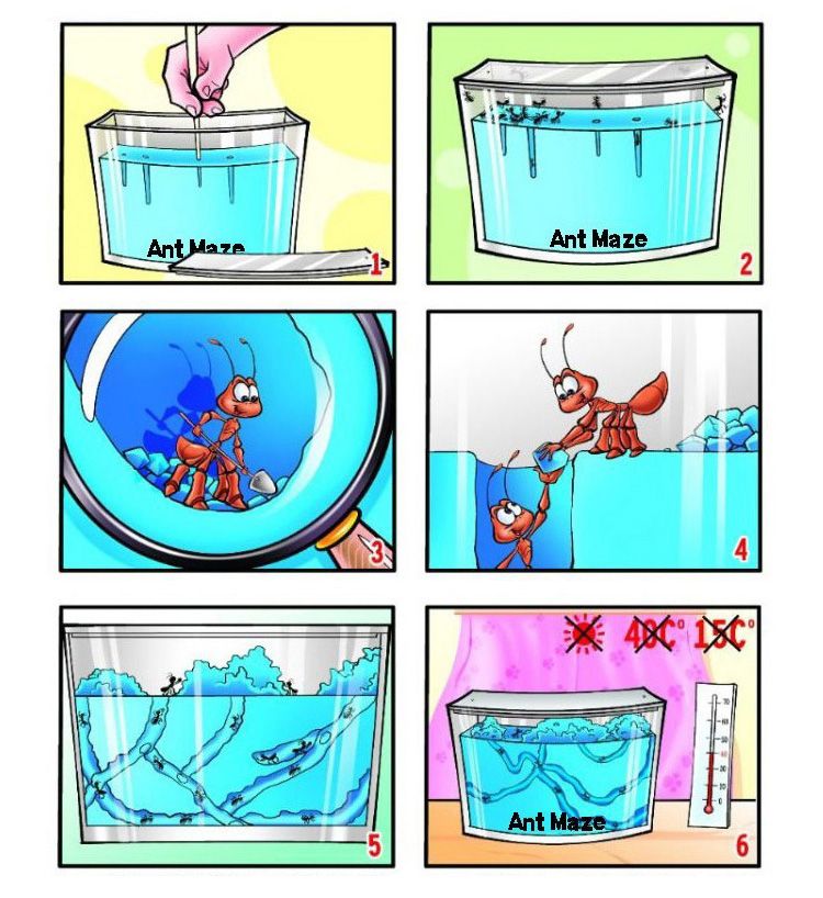 New 3D Ant Maze Advanced Nursery Farm Blue Gel Live Habitat with